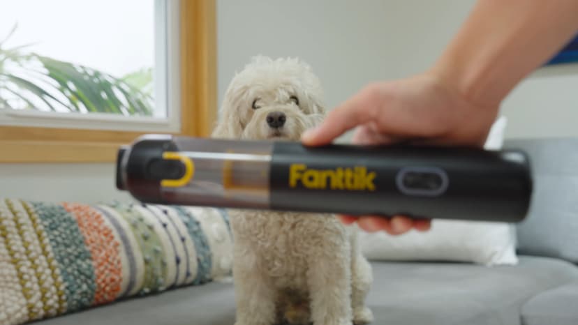 Fanttik Slim V8 Apex Car Vacuum, 4-in-1 Portable Mini Cordless Vacuum with 19000pa Suction Power, Type-C Charge, 2 Suction Modes, Handheld Vacuum for Car, Office Desk, Keyboards (Black)