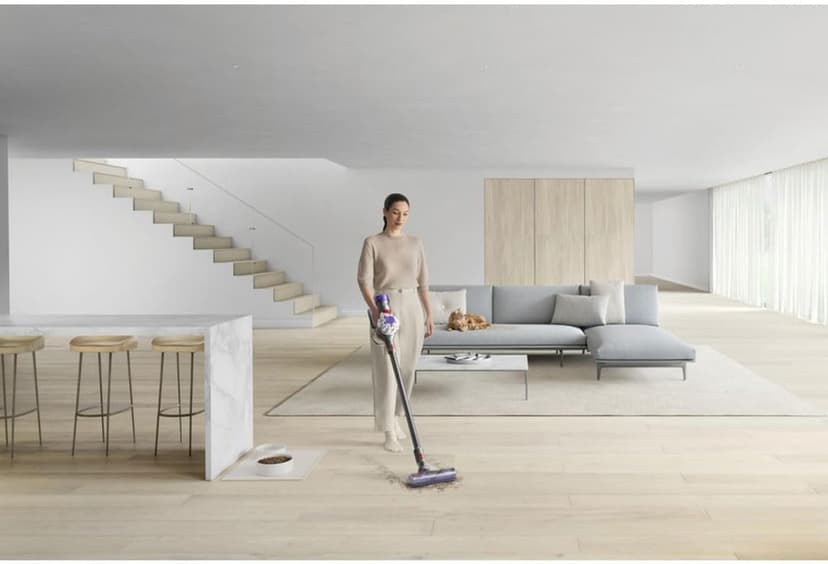 Dyson V8