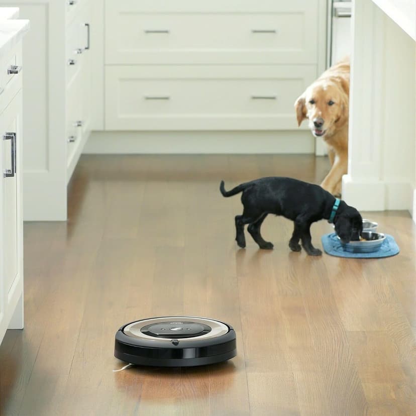 iRobot Roomba E6 (6199) Robot Vacuum - Wi-Fi Connected, Compatible with Alexa, Ideal for Pet Hair, Carpets, Hard, Self-Charging Robotic Vacuum, Sand Dust (Renewed)