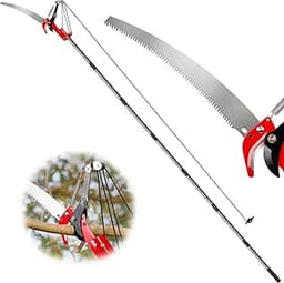 The Best Saw To Cut Trim 2025 | Detailed Buyer’s Guide