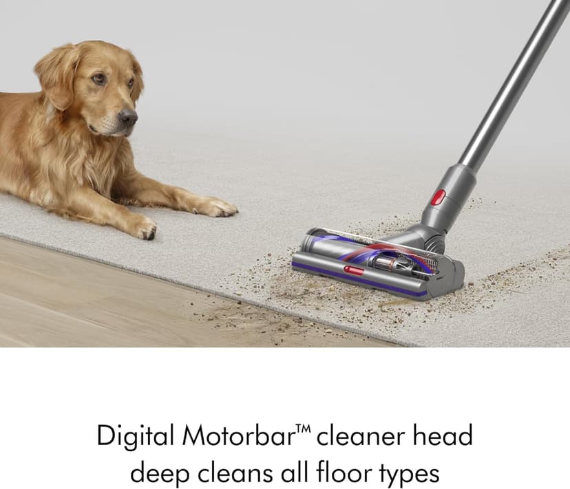 Dyson V15 Detect Plus Cordless Vacuum, Yellow/Nickel