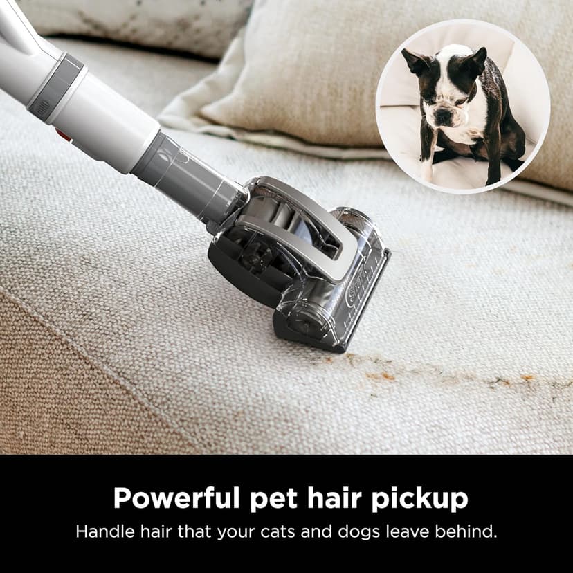 Shark | Upright Vacuum Cleaner | Navigator Lift-Away | Swivel Steering | HEPA Filter | Vacuum for Pet Hair | Crevice Tool & Dusting Brush Included | For Carpets & Hard Floors | White/Silver | NV356E