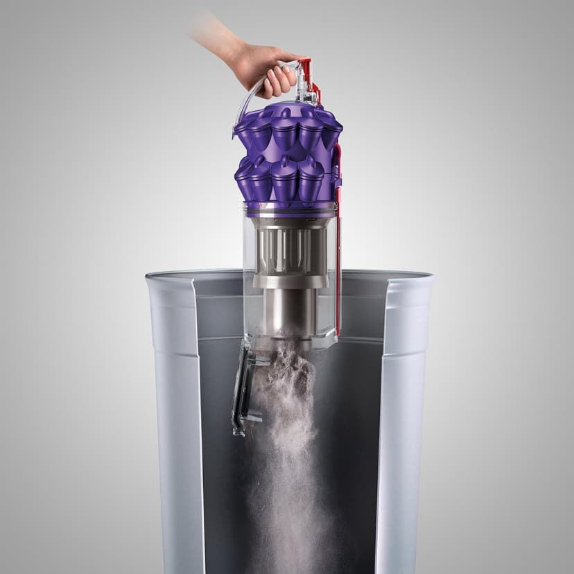 Dyson DC50 Animal Compact Upright Vacuum Cleaner, Iron/Purple - Corded