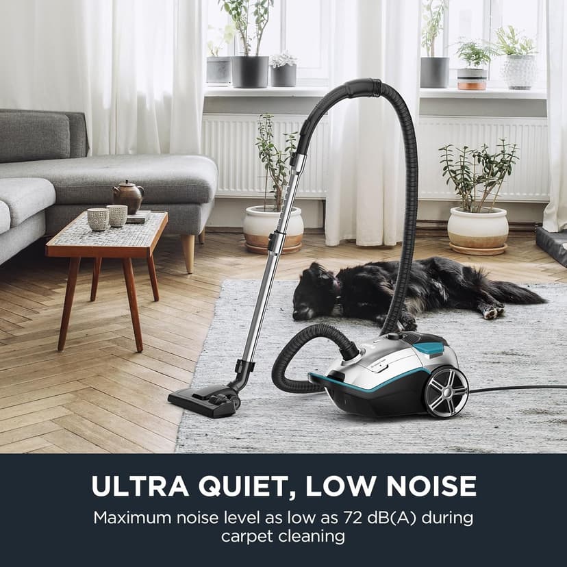 Eureka Canister Vacuum Cleaner, Lightweight Vacuum Cleaner for Carpets and Hard Floors, NEN170 Pet Friendly vaccum Cleaner with with HEPA Filter and 4 dust Bags, Silver with Green