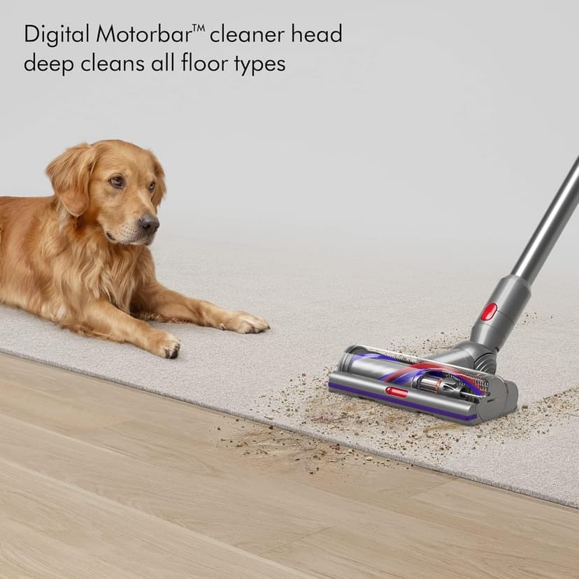 Dyson 448182-02 V15 Detect SV47 (Renewed)