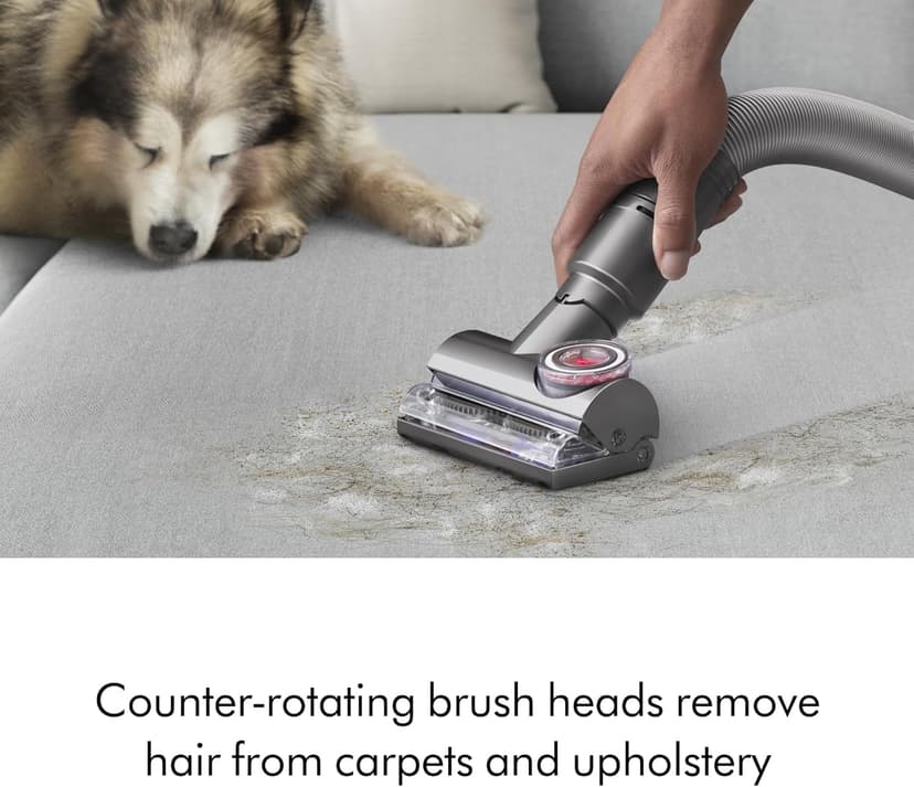 Dyson Ball Animal Total Clean Upright Vacuum, Iron/Blue