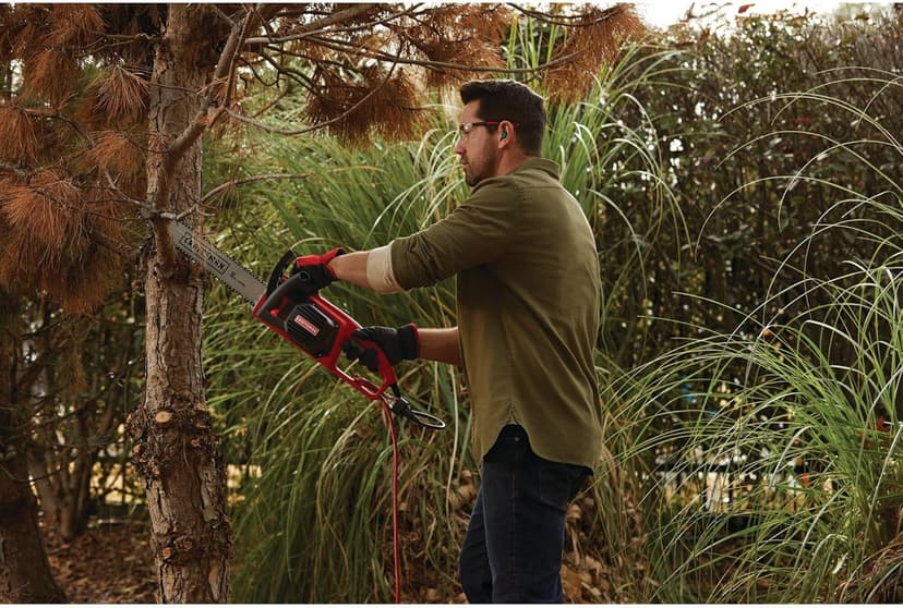 CRAFTSMAN Electric Chainsaw, 16 Inch, 12 Amp Corded (CMECS600)