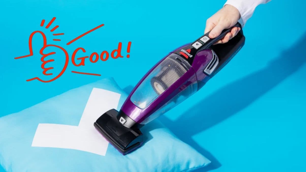 Bissell Pet Hair Eraser Handheld – Deep Guide for Pet Owners