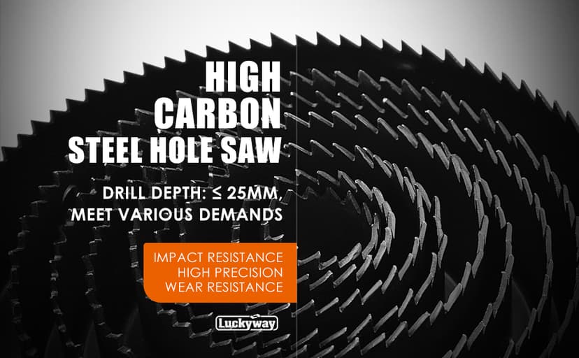 Luckyway 17-Piece Hole Saw Kit, Hole Saw Set, 3/4" to 5" Hole Saw with Hole Saw Mandrel for Wood,Plastic,PVC and Drywall