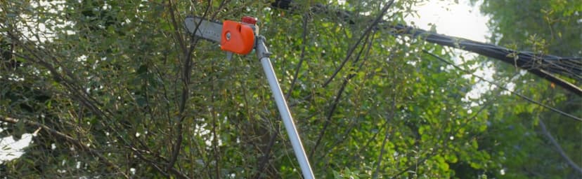 Pole Saw Gas Powered, 16-Foot Reach 42.7CC 2-Cycle 10-Inch Bar Cordless Extendable Long Trimmer Power Gasoline Chainsaw For Tree Hedge Trimming Bush Pruning, Spinning Saw Head