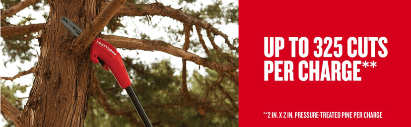 CRAFTSMAN V20* Pole Chainsaw, Cordless, Tool-Only (CMCCSP20B)