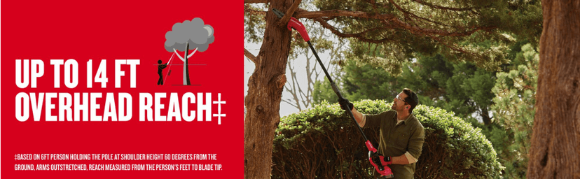 CRAFTSMAN V20* Pole Chainsaw, Cordless, Tool-Only (CMCCSP20B)