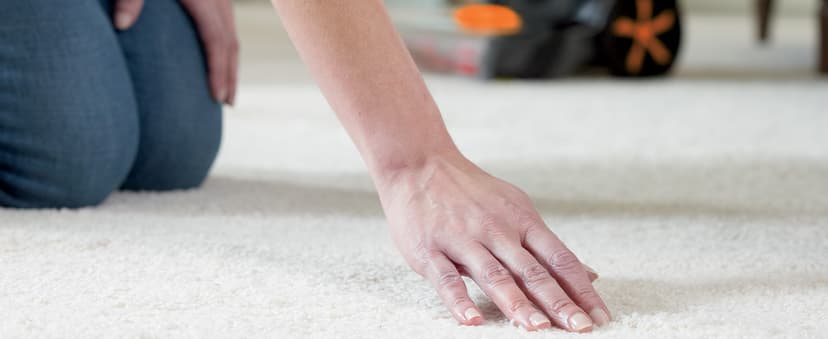 Bissell ProHeat 2X Revolution Pet Full Size Upright Carpet Cleaner, 1548F, Orange