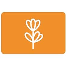 Better Life Floor Cleaner - Liquid Multipurpose Cleaner for Wood, Tile, Laminate, Vinyl, Bamboo - Hardwood Floor Cleaner for Mopping - Citrus Mint, 32 Fl Oz (Pack of 2)