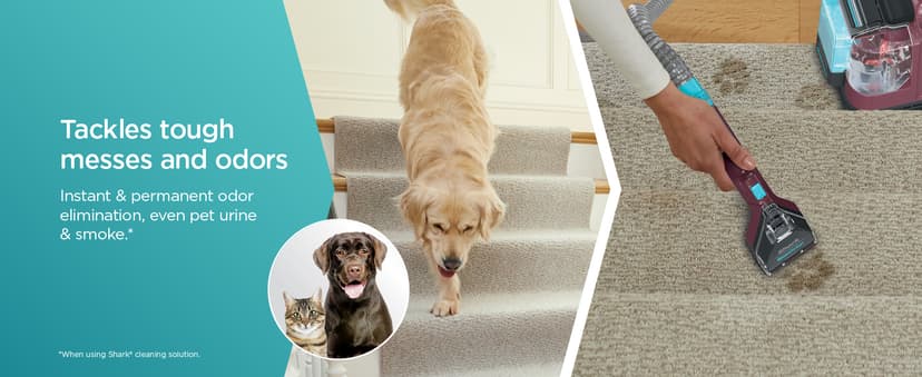 Shark Carpet Cleaner Machine, Portable Upholstery StainStriker, Spot, Odor & Stain Remover, 2 Carpet Cleaner Solutions, 3 Tools, Perfect for Pet Hair, Area Rugs, Couches, Burgundy, PX203BRN