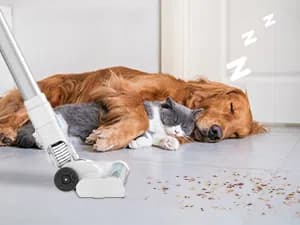 Cordless Vacuum Cleaner, 35Kpa Cordless Vacuums for Home, 500W Stick Vacuum Cleaners with Long Runtime, Lightweight, Powerful, Large Dust Cup Vacuum Cleaner for Pet Hair Hard Floor