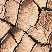 2”x32“ Auger Drill Bit for Planting, Heavy-Duty Planting Auger for Bulbs, Post Hole Digger for 3/8”Hex Drive Drill