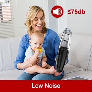 Handheld Vacuum Cordless Rechargeable, Car Vacuum Portable, Mini Vac for Pet Hair, Hand Vacuum Cleaner Car Seats, Home, Quick Cleanup, Strong Suction, Lightweight(H10)