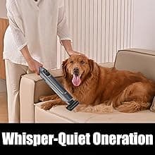 Handheld Vacuum Cordless, Lightweight 1.4lb with Powerful Suction, Charging Dock, Single Touch Empty and Detachable Dust Cup (Frosted Silver)