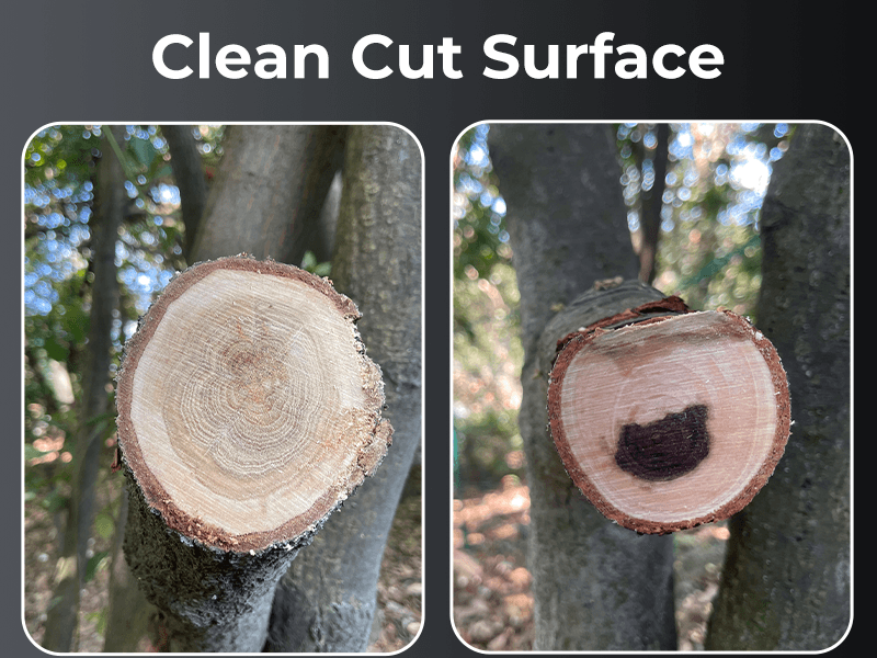 10 Inch Folding Saw Laser-Cut Teeth Pruning Saw for Tree Trimming, D2 Steel Hand Saws for Wood Cutting, 7 TPI Wood Saws Hand For Camping, Bushcraft, Gardening, Outdoor, Heavy-duty Garden Tool