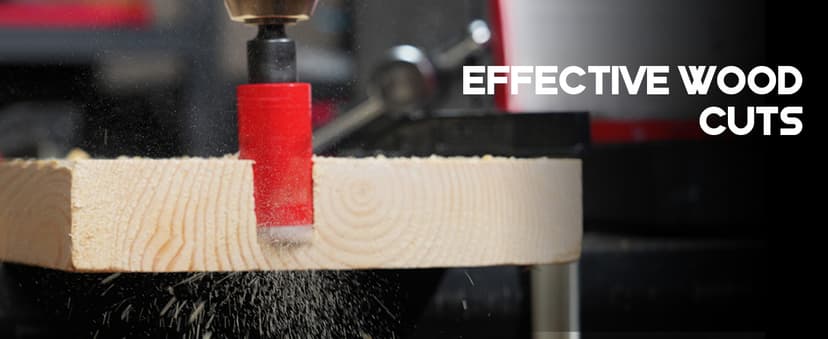 EZARC Hole Saw Kit, 16Pcs Bi-Metal Hole Saw Set with 3/4"-2-1/2"(19-64mm), Mandrels, Drill Bits, Installation Plate, Hex Key with Storage Case, Ideal for Wood, Metal, Plywood, PVC Board