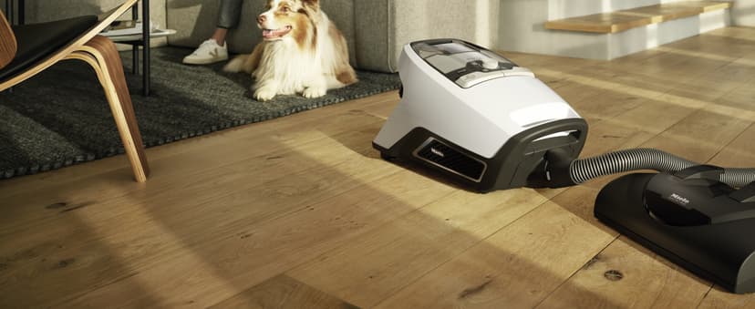 Miele Blizzard CX1 Cat & Dog Bagless Canister Vacuum, Lotus White - Pet Hair, Portable