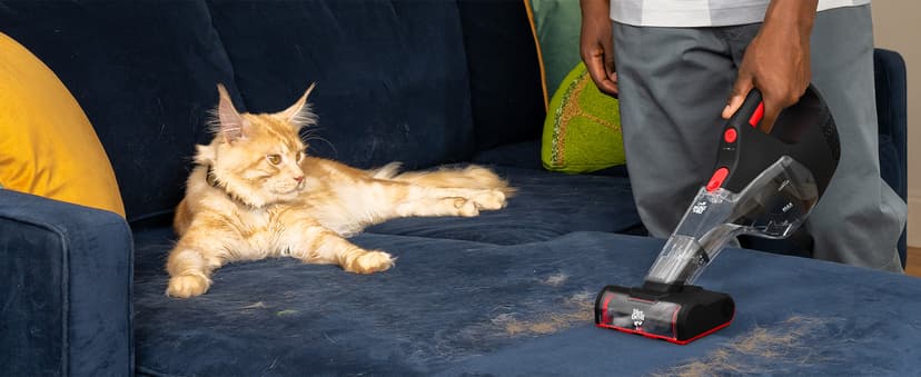 Dirt Devil 16V Deep Clean Cordless Handheld Vacuum Cleaner, Powerful Suction, Lightweight, Includes Motorized Pet Brush Roll Tool and Rechargeable Battery, Extended Run Time, Portable Vacuum Cleaner