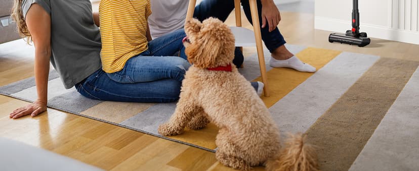 Cordless Vacuum Cleaner, Stick Vac Specifically Handling Pet Hair, Up to 50 Minutes, 500W Powerful Suction, Rechargeable, Lightweight for Carpet, Hard Floor, Deep Dark