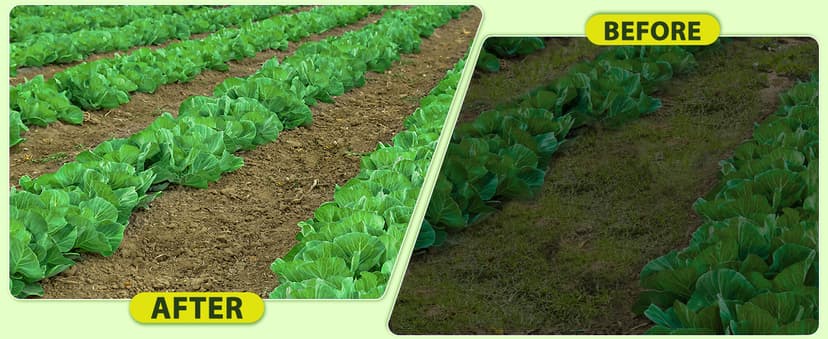 CAROD Hoe Garden Tool, Scuffle Garden Hoe for Weeding with 30-60 Inch Steel Long Handle, Dual Use Sharp Gardening Hula Hoe, Adjustable Rocket Shaped Weed Remover Action Hoe