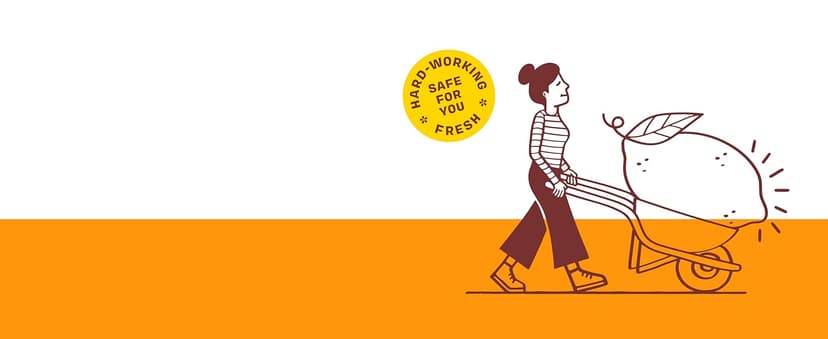 Aunt Fannie's Ultra Concentrated Hardwood Floor Cleaner, Vinegar-Free Plant Based Hardwood Floor Cleaner for Mopping, Bright Lemon Scent, 32 oz. (Pack of 1)