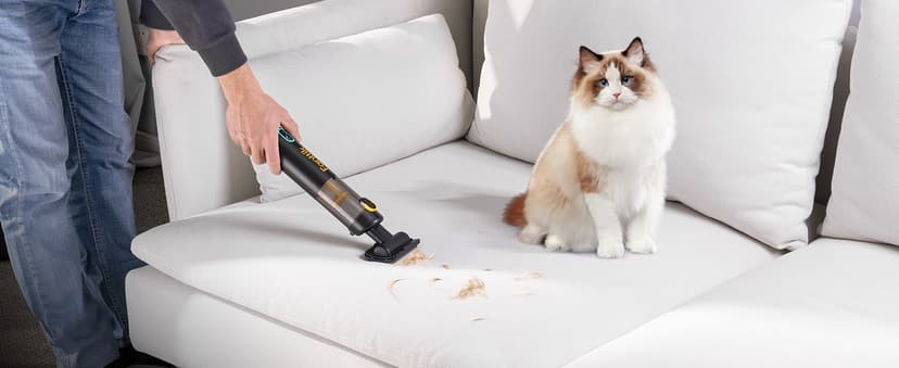 Fanttik Slim V8 Apex Car Vacuum, 4-in-1 Portable Mini Cordless Vacuum with 19000pa Suction Power, Type-C Charge, 2 Suction Modes, Handheld Vacuum for Car, Office Desk, Keyboards (Black)