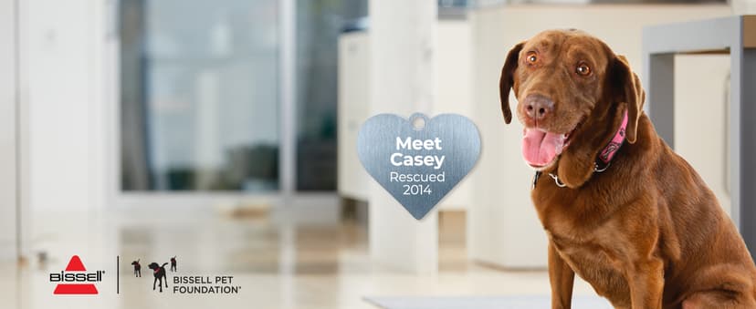 Bissell TurboClean Cordless Hard Floor Cleaner Mop and Lightweight Wet/Dry Vacuum, 3548