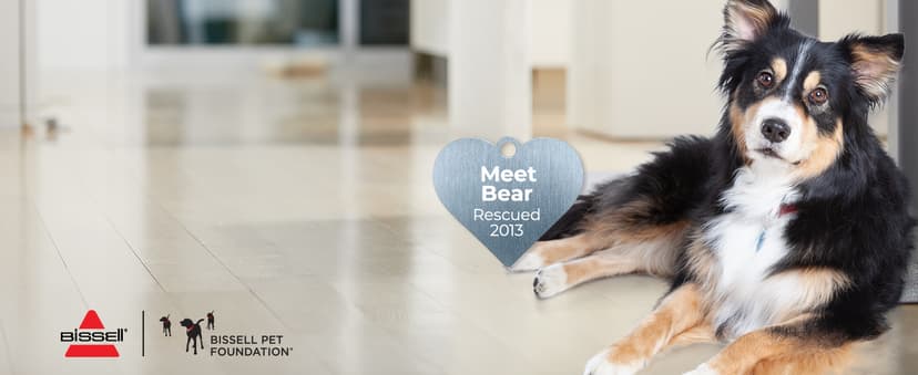 Bissell CrossWave Cordless Max Vacuum Mop All in One Wet and Dry Vac Combo Hard Floor Cleaner and Area Rugs, Cordless Mop, Pack-in Formulas Included, 2554A