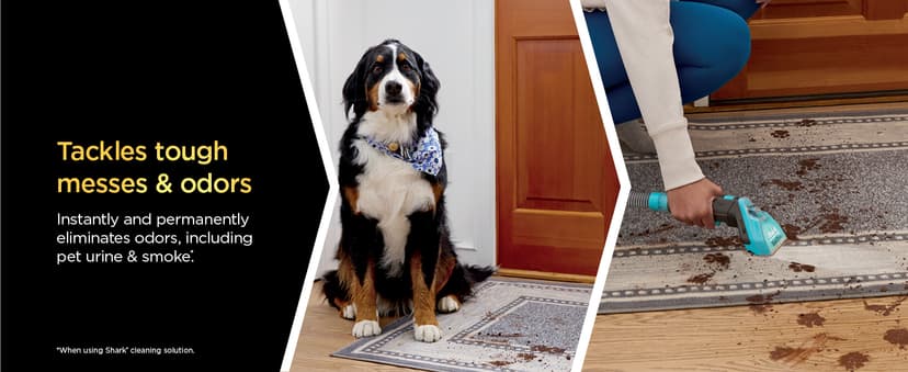 Shark StainStriker HairPro Portable Carpet, Upholstery & Area Rug Cleaner with Pet Mess & Hair Tools, Self-Cleaning, Perfect for Pets & Car Interiors, 4 Cleaning Tools & Pet Solution, Copper, PX251