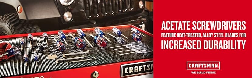 CRAFTSMAN Phillips Screwdriver, PH #2 X 4 IN, Acetate (CMHT65004)