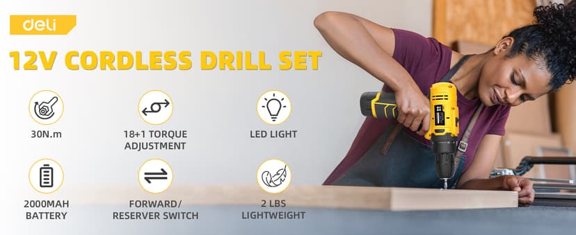 DELI 12V Cordless Drill Set, 2.0Ah Battery with Charger, 3/8'' Keyless Chuck, 18+1 Torque Settings, Electric Mini Drill for Home Improvement