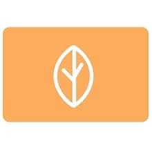 Better Life Floor Cleaner - Liquid Multipurpose Cleaner for Wood, Tile, Laminate, Vinyl, Bamboo - Hardwood Floor Cleaner for Mopping - Citrus Mint, 32 Fl Oz (Pack of 2)