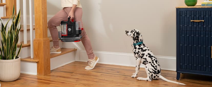 Dirt Devil Portable Spot Cleaner Machine for Carpet and Upholstery, Powerful Suction Spot Cleaning Machine with Versatile Tools, Pair with Dirt Devil Portable Spot Cleaner Solution