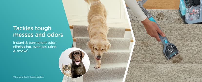 Shark StainStriker Portable Carpet Upholstery & Area Rug Cleaner, Bonus XL Tool & Full-Size Cleaning Solution, Stain & Odor Remover, Perfect for Car Interiors, 4 Cleaning Tools, Nordic Blue, PX202BRN