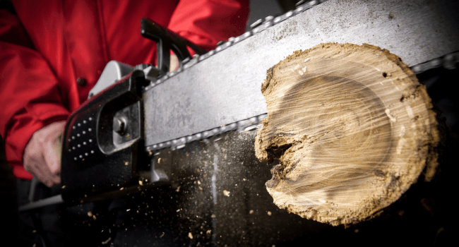 Sharp Pebble Electric Chainsaw Sharpener Kit - Comes with Chain Saw Sharpener Tool, 4 File Size Sharpening Wheel Bits, Angle Attachment, Wrench & eBook