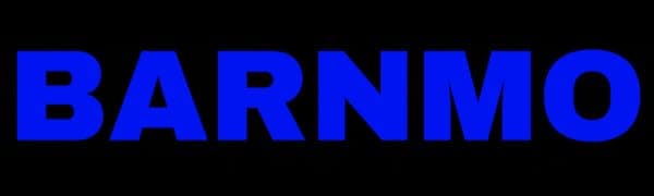 Cordless Stick Vacuum, Red, 45 Min Runtime, LED Headlights, 2-Speed, Telescopic Tube with Main Vacuum Brush, Crevice Tool, dust Brush, Removable-Rechargeable Battery Pack with Charging Cord