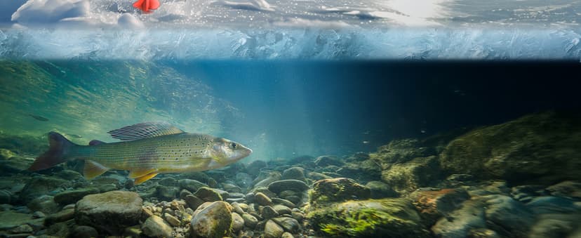 Eyoyo 6-8" Diameter Ice Auger Bit, 1 Set Replacement Blade & Blade Protector with 1/2 Inch Chunk Drill Adapter, Nylon Auger Convenient for Ice Fishing