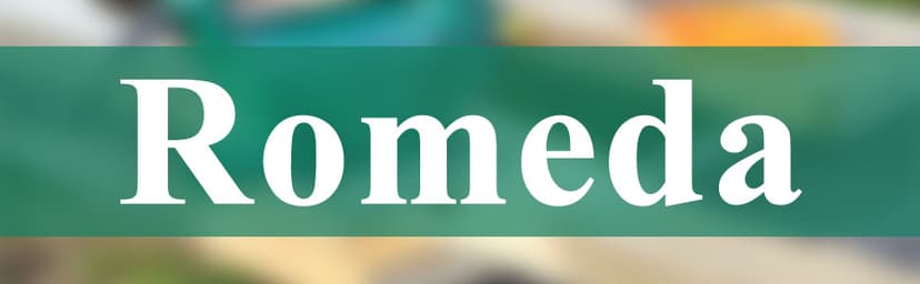 Jigsaw Blades, 10 Piece Jig Saw Blades, Assorted T-Shank jig Saw Blades for Wood, Metal and Plastic Cutting(T111D, T101AO, T101BR, T101D, T101B, T118A, T118B, T144D, T244D,T111C)